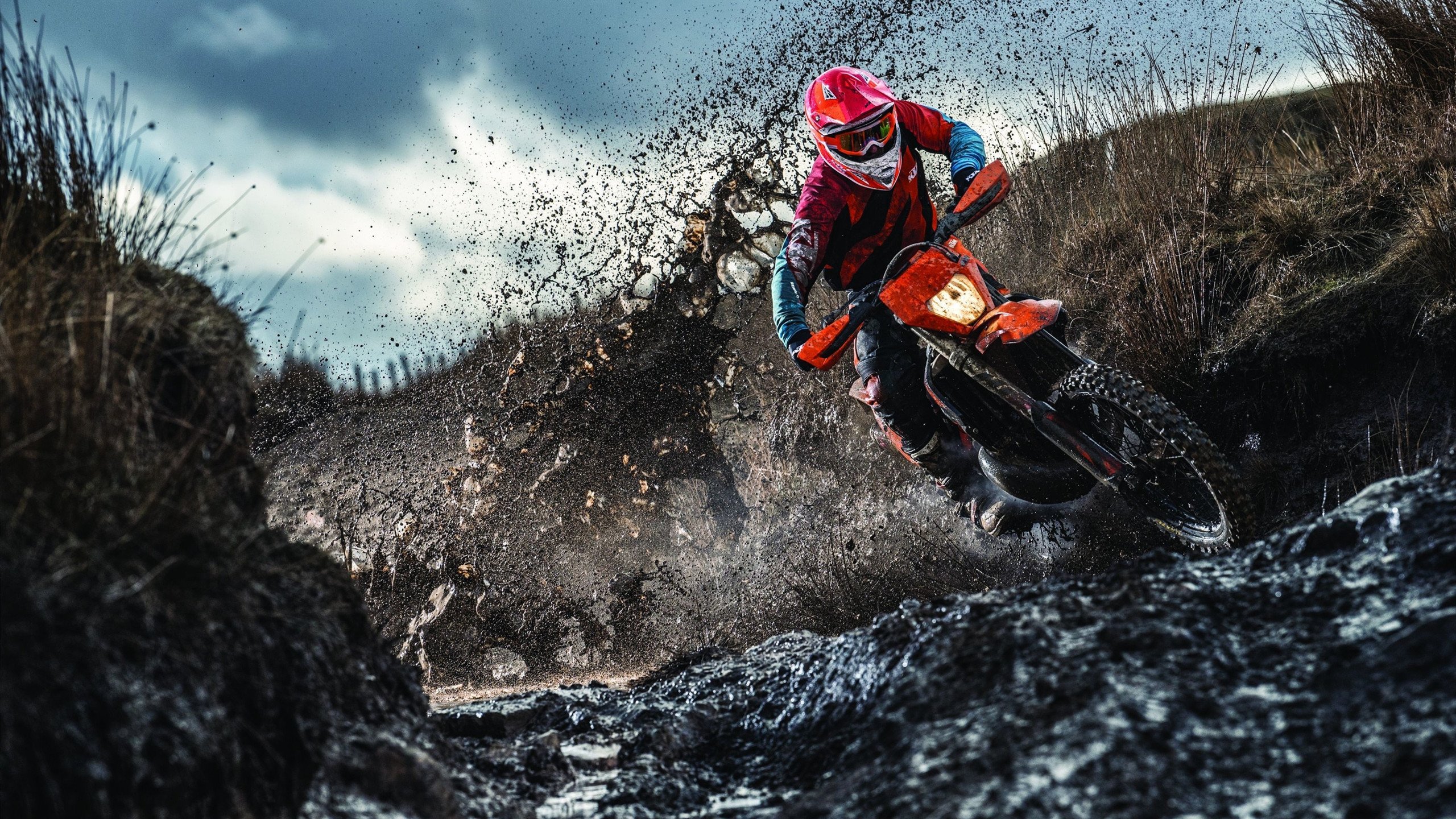 AYX官网-_湖人逐步走出低谷，逐渐迎来反弹_，“湖人”