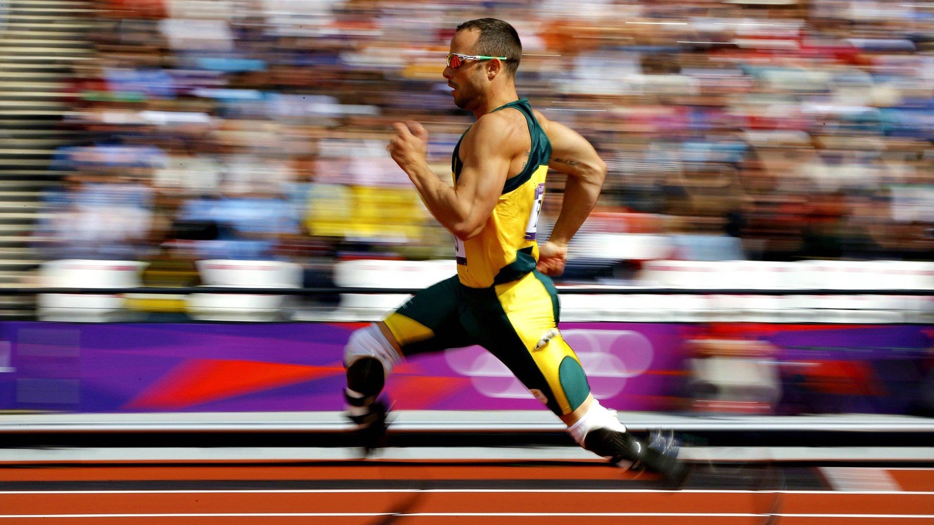 爱游戏娱乐网址-英格兰反曲弓队在2024年英国田野锦标赛中获胜，反曲弓比赛